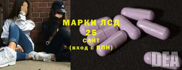 шишки Ельня