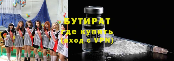 шишки Ельня