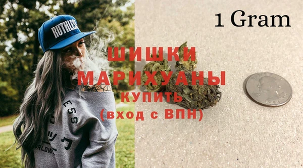 дживик Елизово