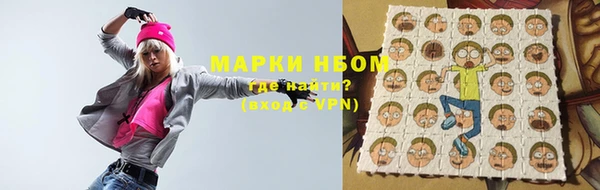 шишки Ельня