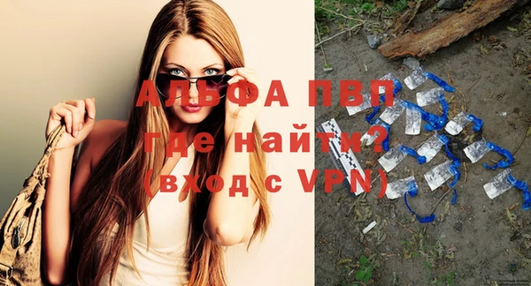 шишки Ельня