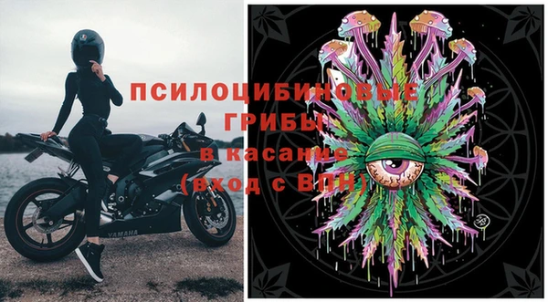 шишки Зеленодольск