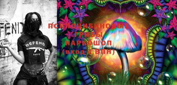 шишки Ельня