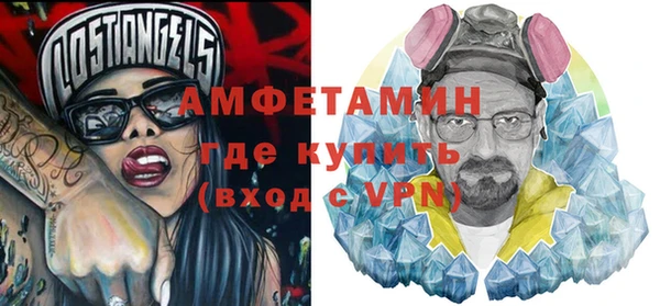 шишки Ельня