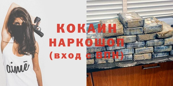 шишки Ельня