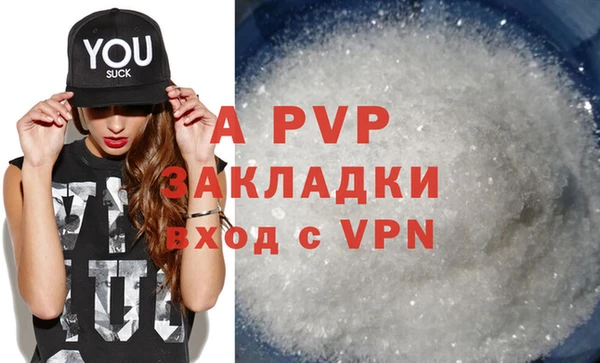 шишки Ельня
