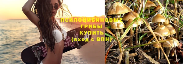 дживик Елизово