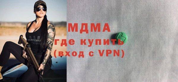 шишки Ельня