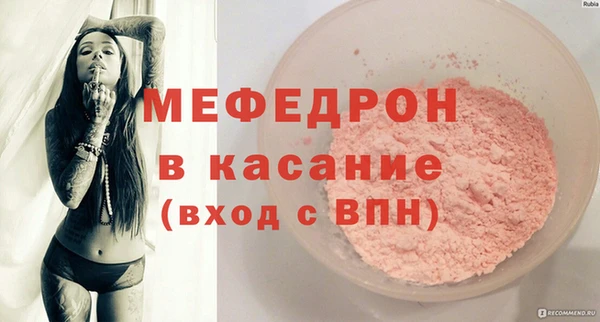 шишки Ельня