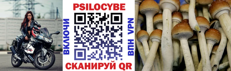 Псилоцибиновые грибы ЛСД Бокситогорск