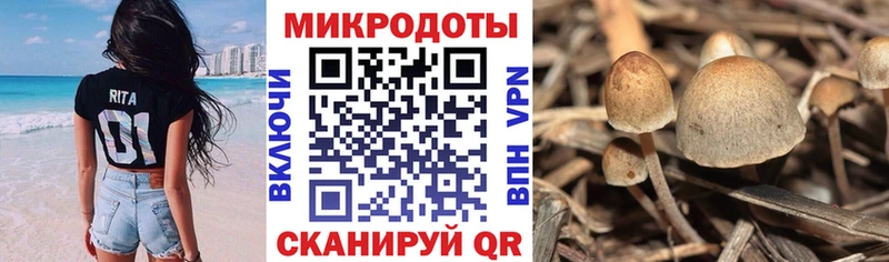 Купить  Бокситогорск  Галлюциногенные грибы мухоморы 